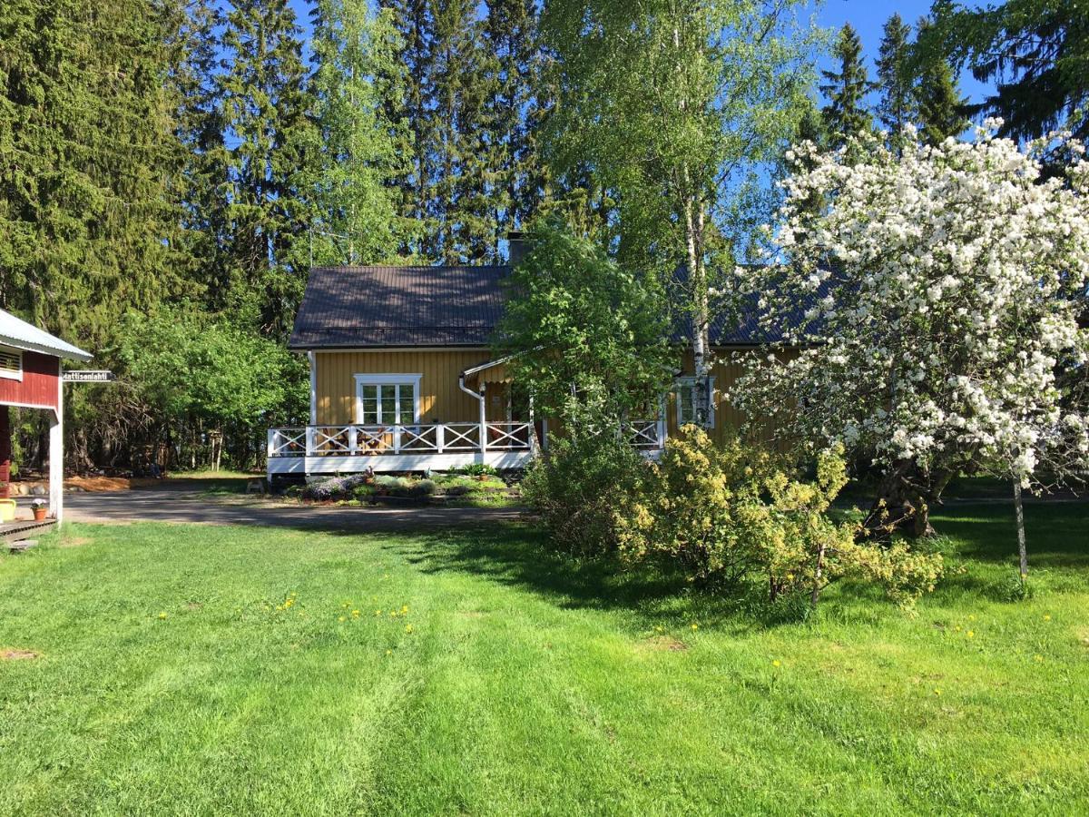 Bed and Breakfast Ollilan Tupa Joensuun Laehellae Ylämylly Esterno foto