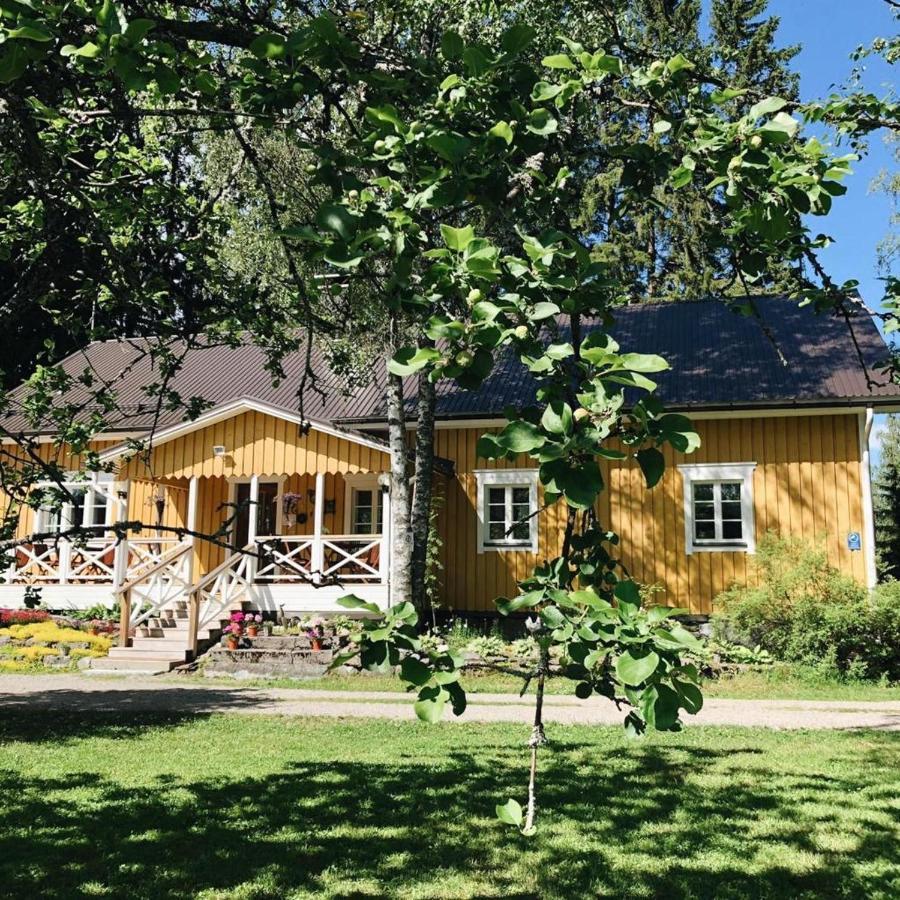 Bed and Breakfast Ollilan Tupa Joensuun Laehellae Ylämylly Esterno foto
