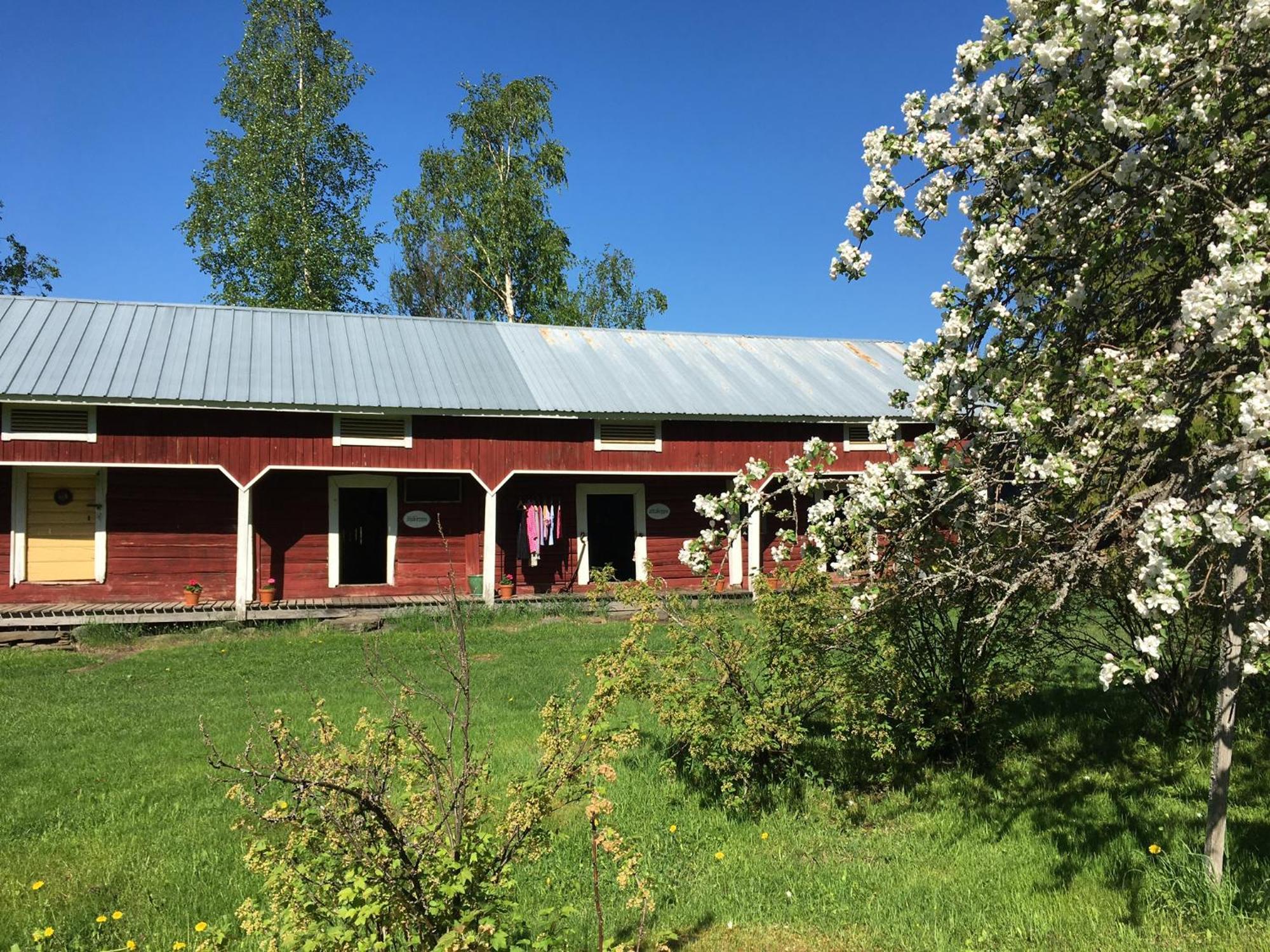 Bed and Breakfast Ollilan Tupa Joensuun Laehellae Ylämylly Esterno foto